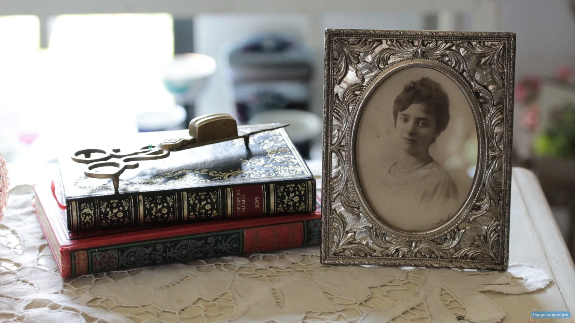 ����ƥ������������ե��ȥե졼����ν��¤֥衼���åѤΥ֥�����ȥǥ����ץ쥤