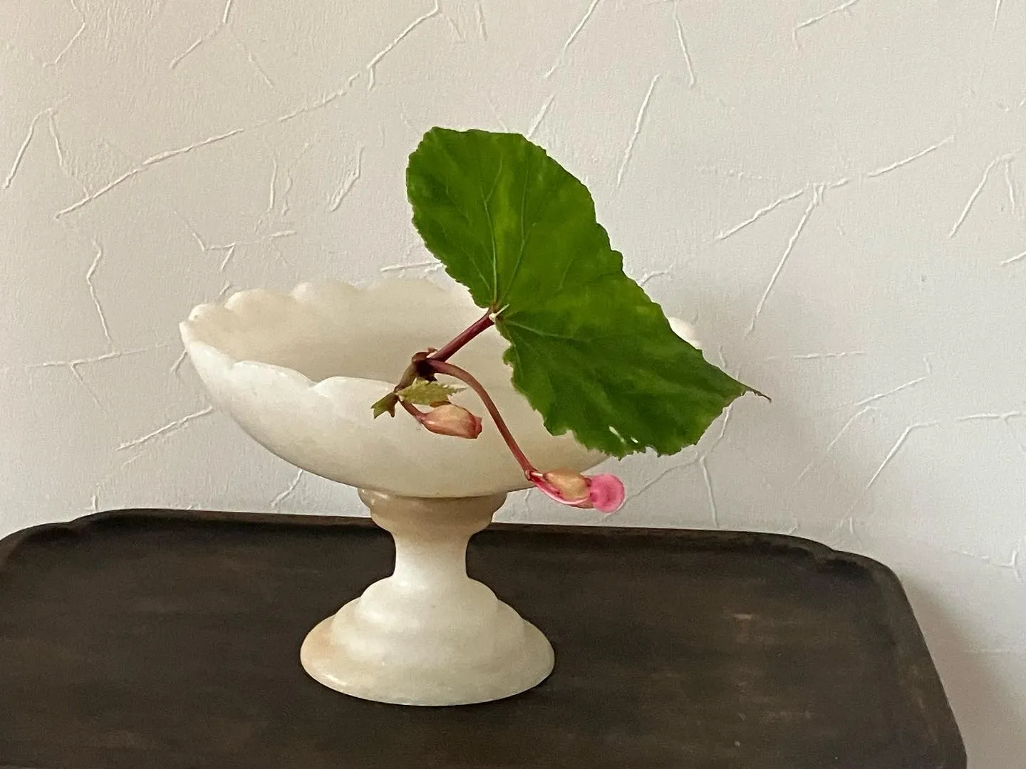 ����ƥ������Υ���ݡ��Ȥ˾���줿��ʪ�ȥ�����ơ������饹�δ�Ť��ʼ�����֤��줿�ߥ˥ޥ�ʥǥ����ץ쥤����