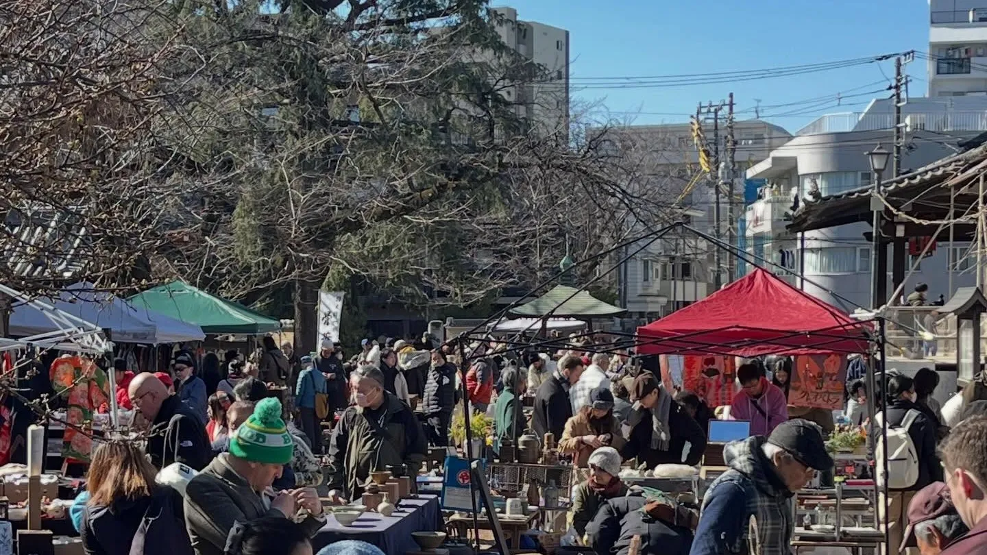 �������չ�ơ�Ԥζ�����¤�ƫ����ƻ���ϪŹ�򸫤Ʋ�����Ԥ����臘�����ι�ơ�ޡ����å�����