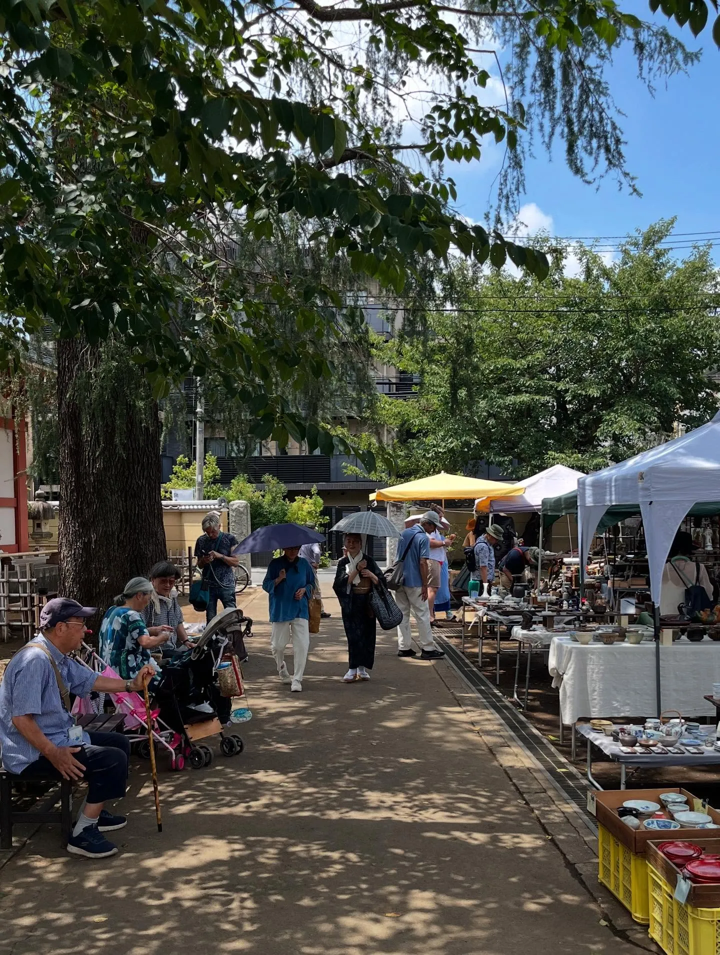 �������չ�ơ�Ԥ��ڱ��λ�ƻ���¤֥���ƥ����������ϪŹ�������򺹤����⤯���ԤβƤΥޡ����å�����