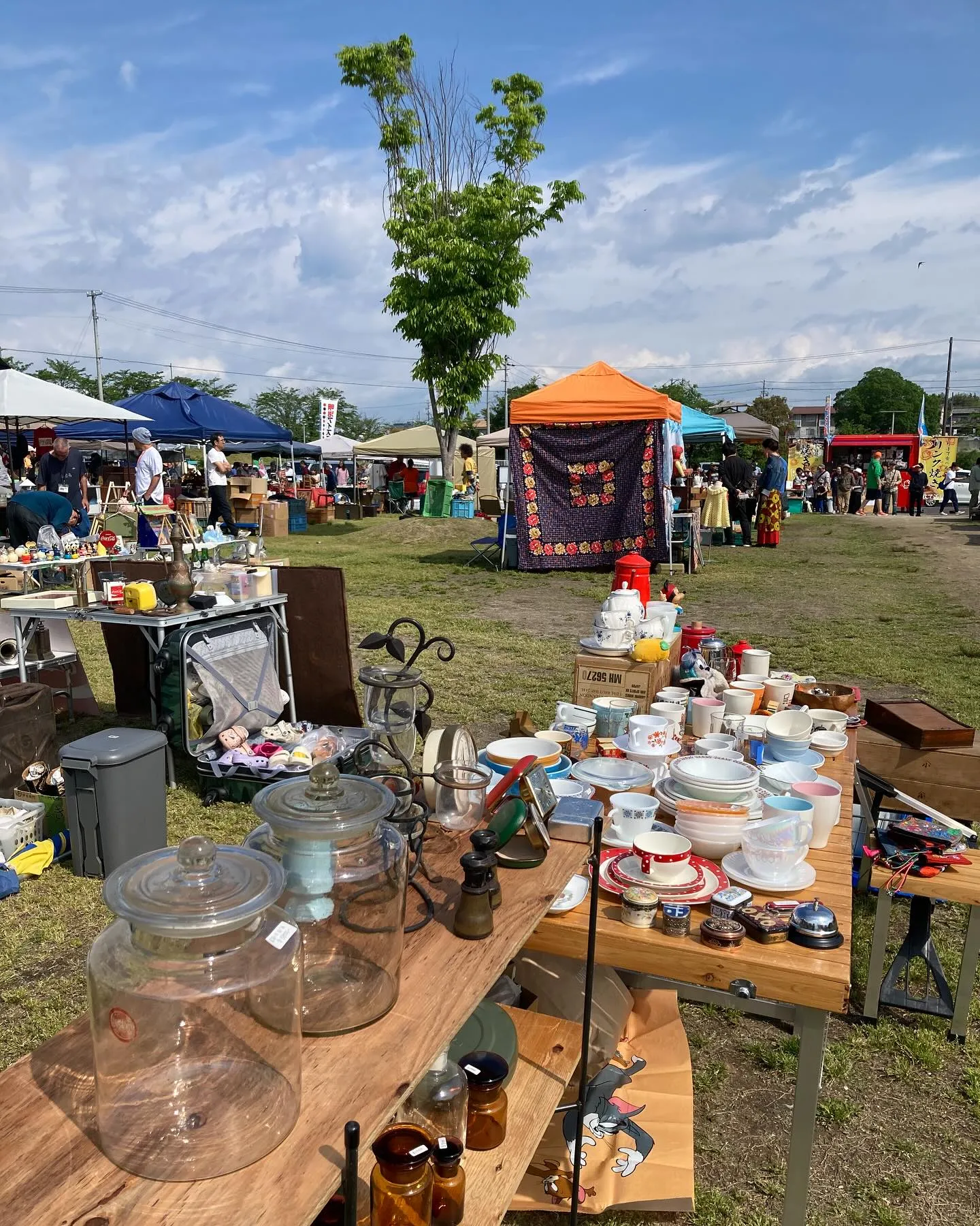 岐阜】超絶蚤の市｜2026年3月8日(日)