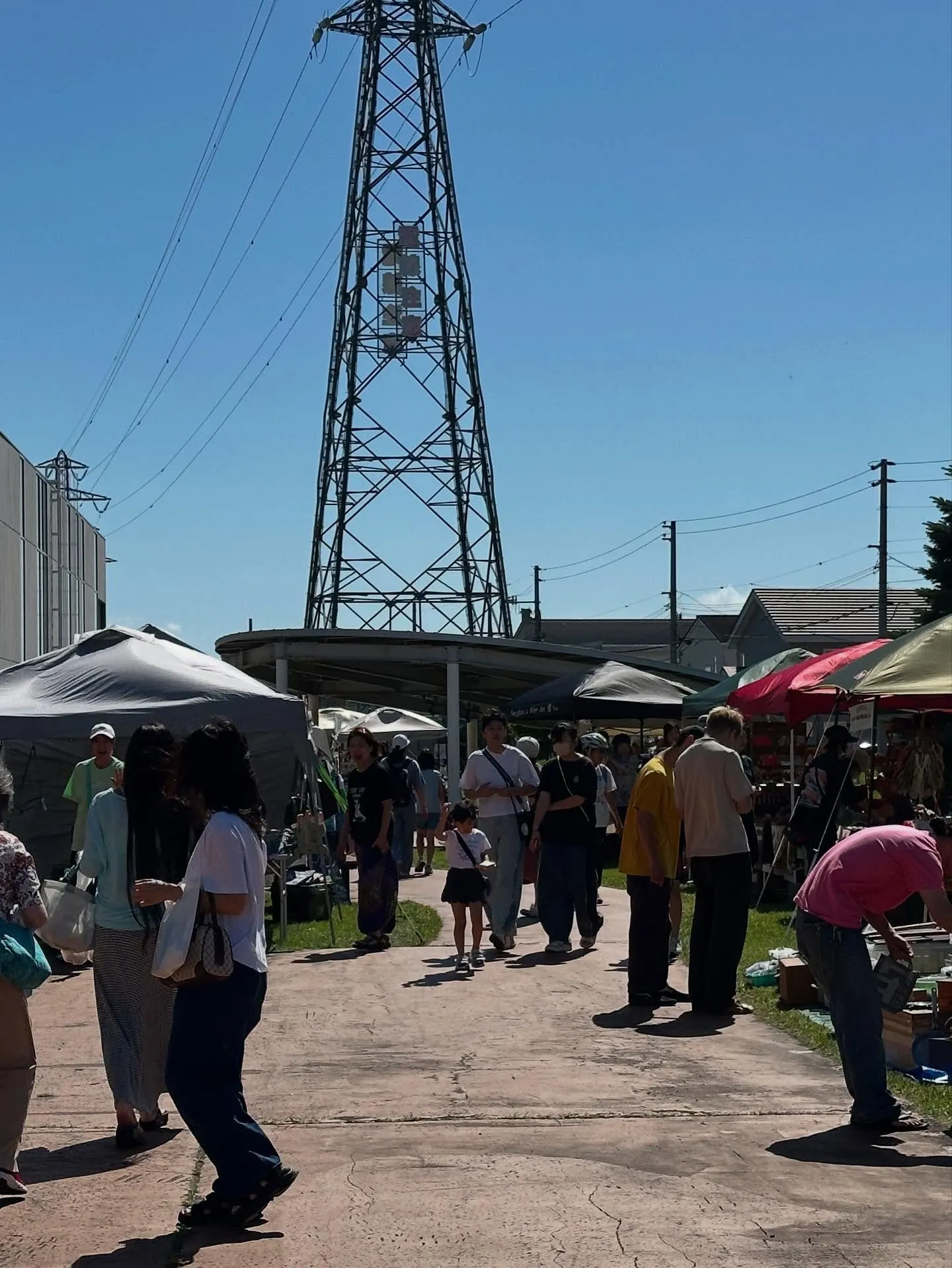 ȡ���ղ��¤λԤβ��ǥƥ�ȤΥ֡������¤����Ԥ���ƻ��仨�ߤ򸫤��⤯�Ķ��β����ޡ����å�����