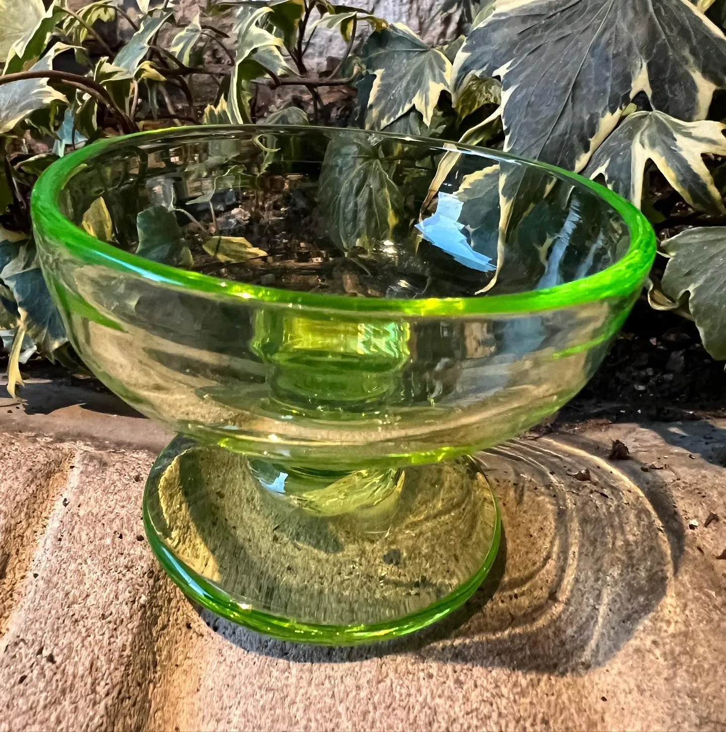 ʿ�����ơ�ޤĤ�ν�Ź�֡��������䤵��Ƥ������䤫�ʥ��꡼�󥬥饹�ε��դ��ܥ���