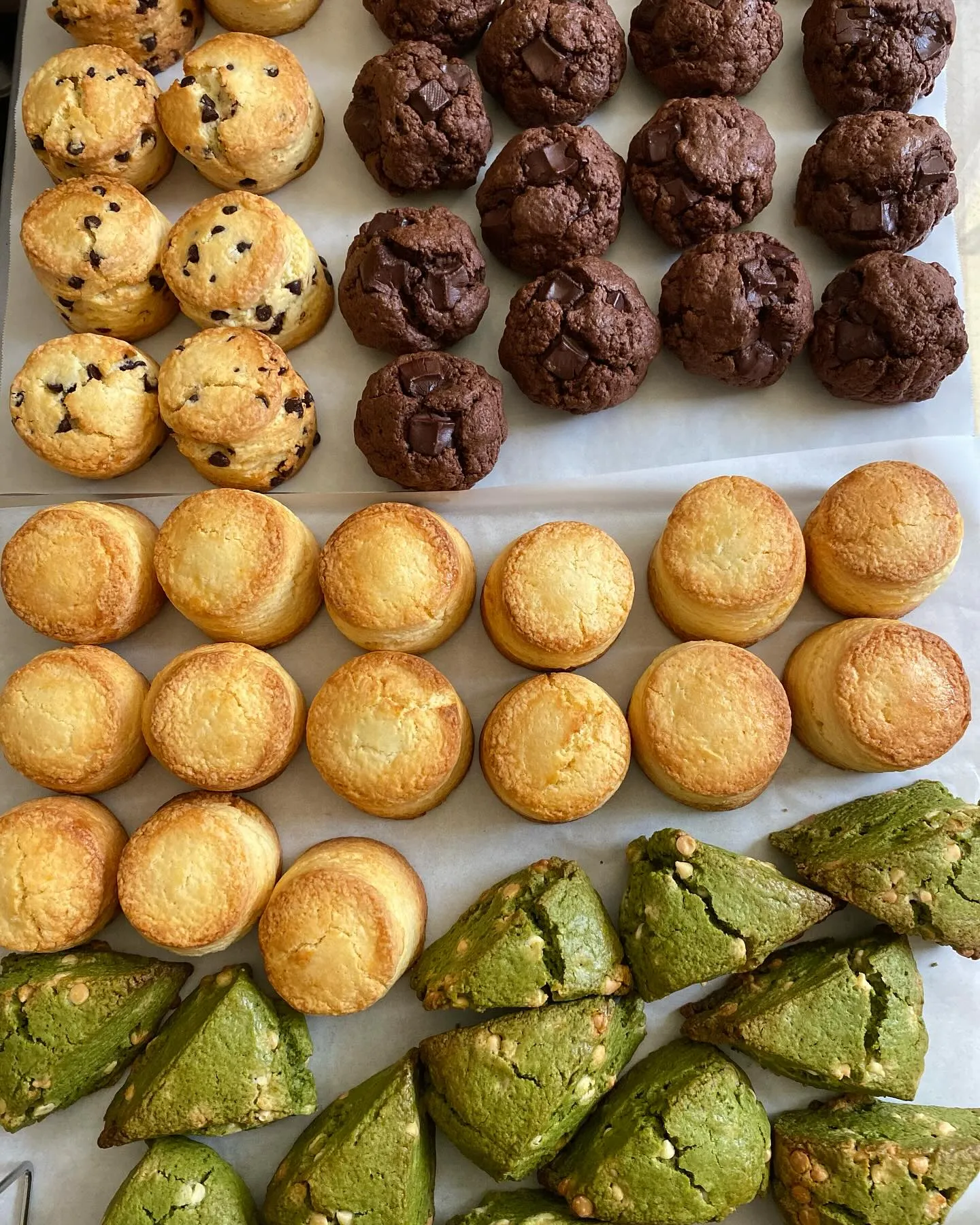 �����¤λԤ��¤־Ƥ�Ω�ƥ����������祳�졼�ȥ��å���������ۻҤ��������¤������Ƥ��ۻҤΥޡ����å�����