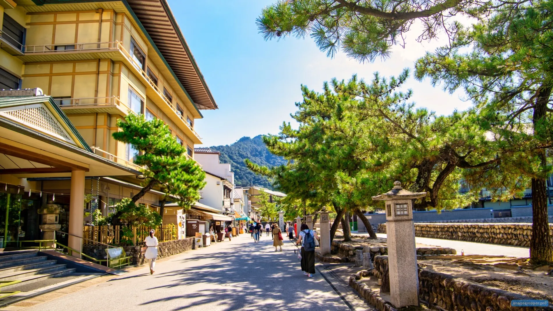 ���縩����λ�ƻ�������ڤ�ι�ۤ侦Ź���¤����뤤�Ѹ��̤������