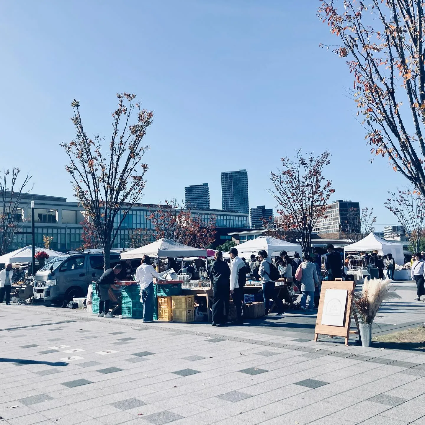 �����¤λԤ����臘������� �Ķ��β����¤֥���ƥ������ȥ��꡼��β����ޡ����åȥ֡��������Ԥ���