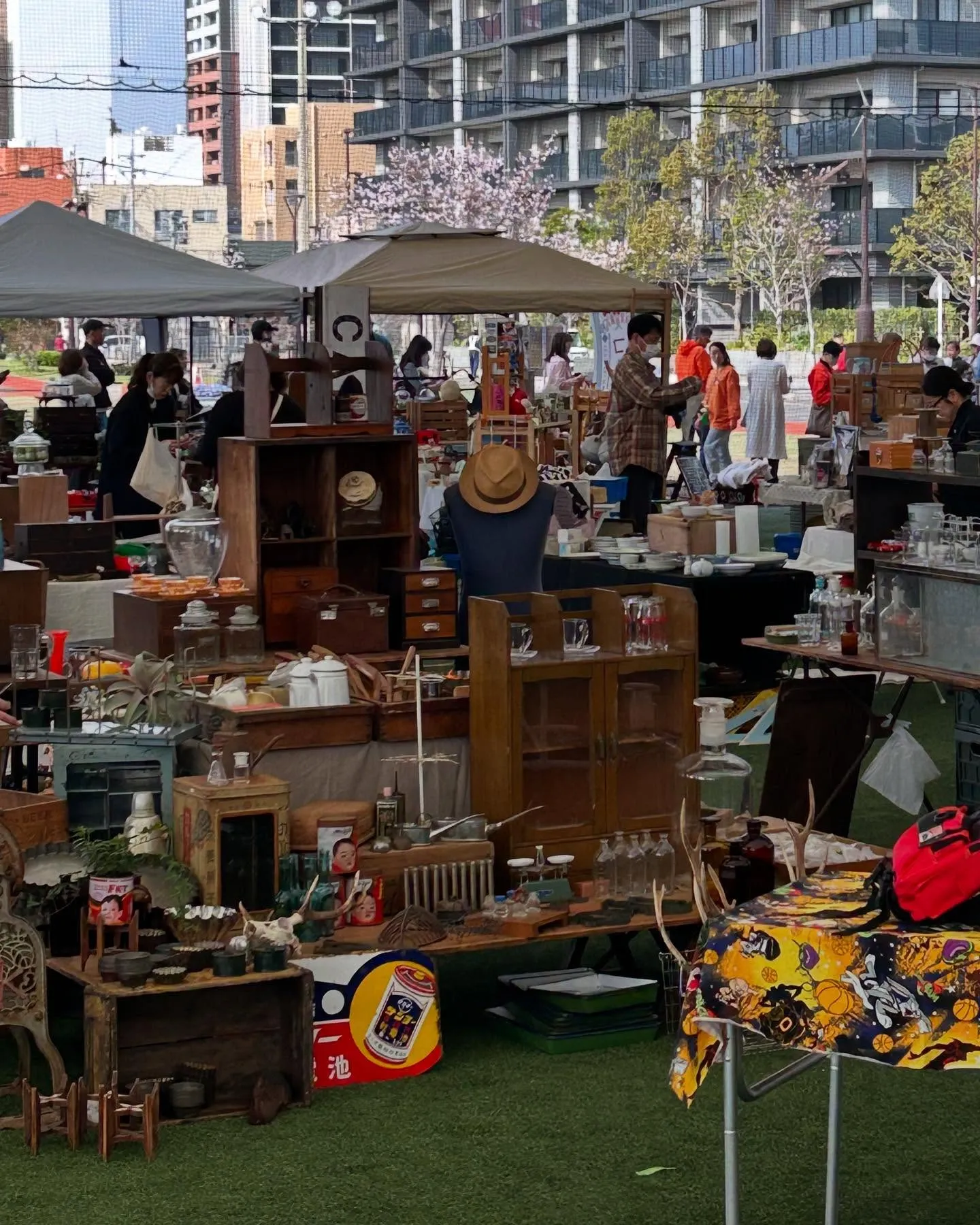 �����祢��ƥ������ޡ����åȤν�Ź�֡������¤֥���ƥ������ȶ�䥬�饹�ӡ���ƻ��侼�¥�ȥ����ߤ�¿�������Ԥ����Ʋ��ޡ����åȤ�����