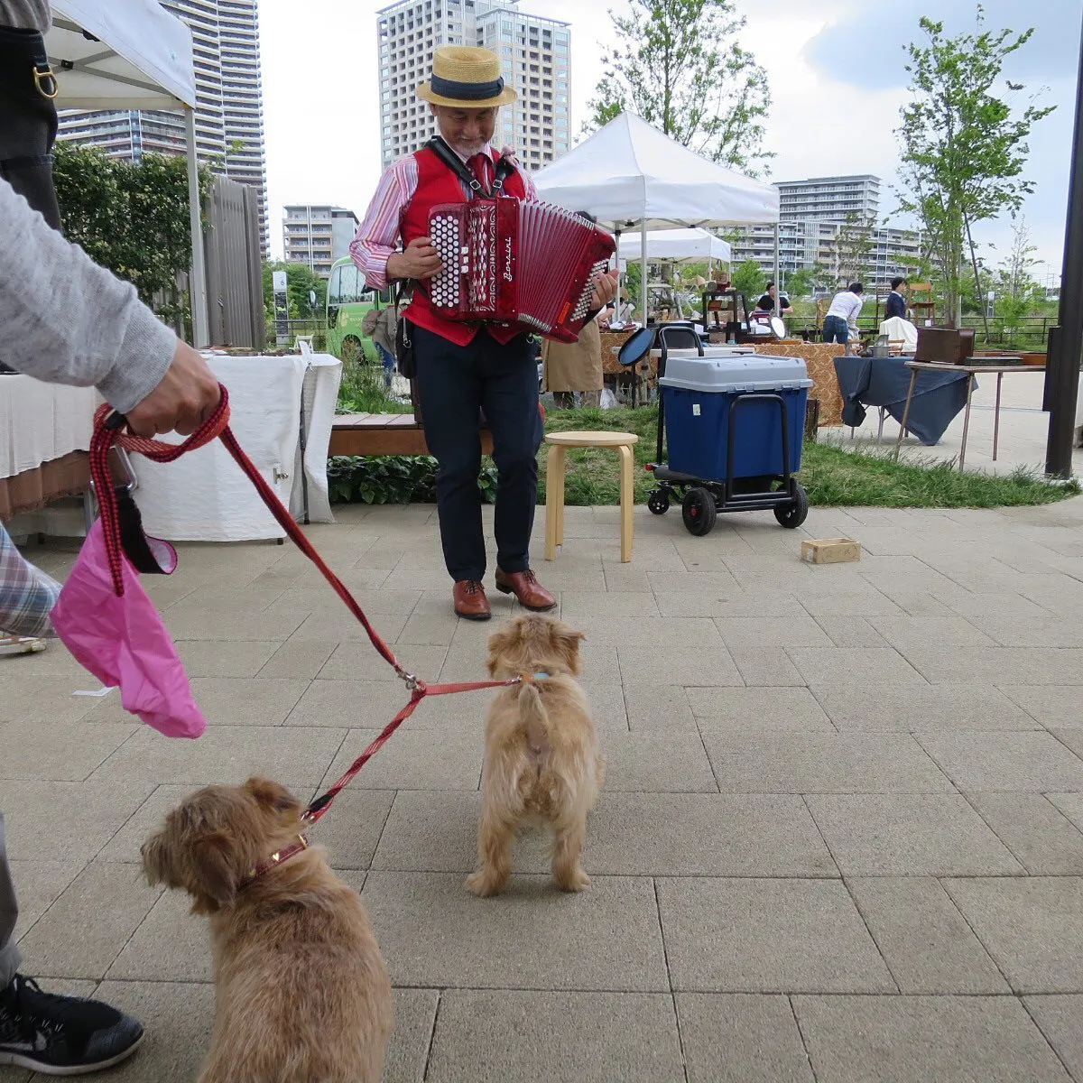 �����T-SITE�ᥤ��ƥ饹���¤λԲ��ǡ��������ǥ�������դ�ڤ������Ԥȸ��Τ��벰���ޡ����åȤ��ͻҡ�