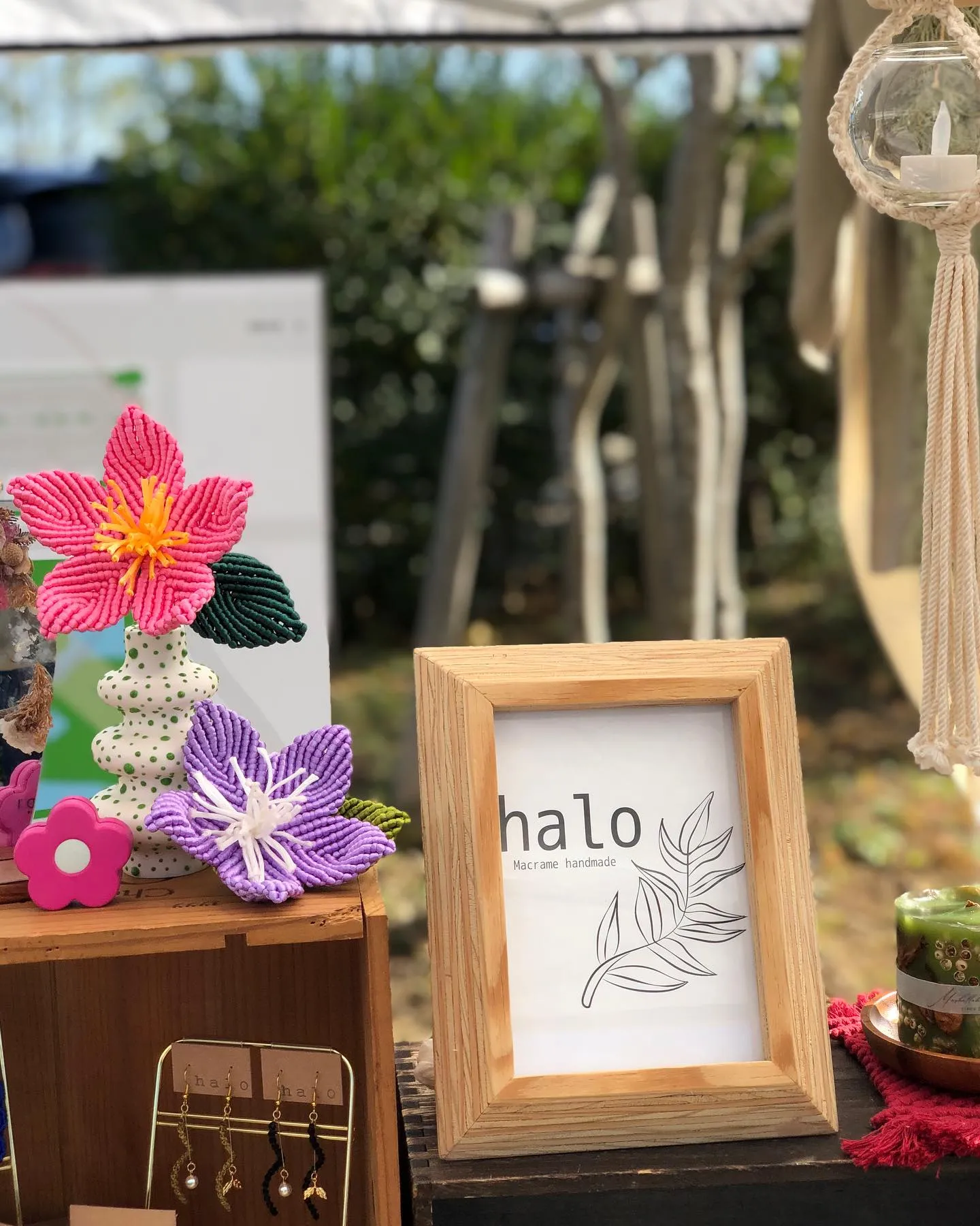 �ޥ����ϥ�ɥᥤ�ɡ�halo�פν�Ź�ǥ����ץ쥤������ե�ʲ֥�����դΥ��������꡼�仨�ߤ��¤��¤λԥ֡������ͻҡ�