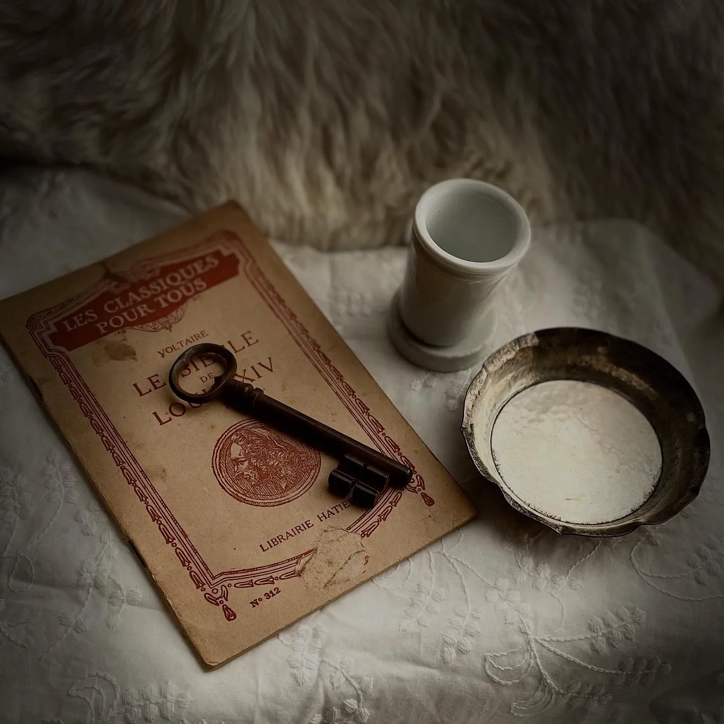 ����ƥ����������ȸŽ��򤤥����ɥ�ۥ�����侮�����¤٤�����夤��ʷ�ϵ��Υ�����ơ�����ʪ�ǥ����ץ쥤