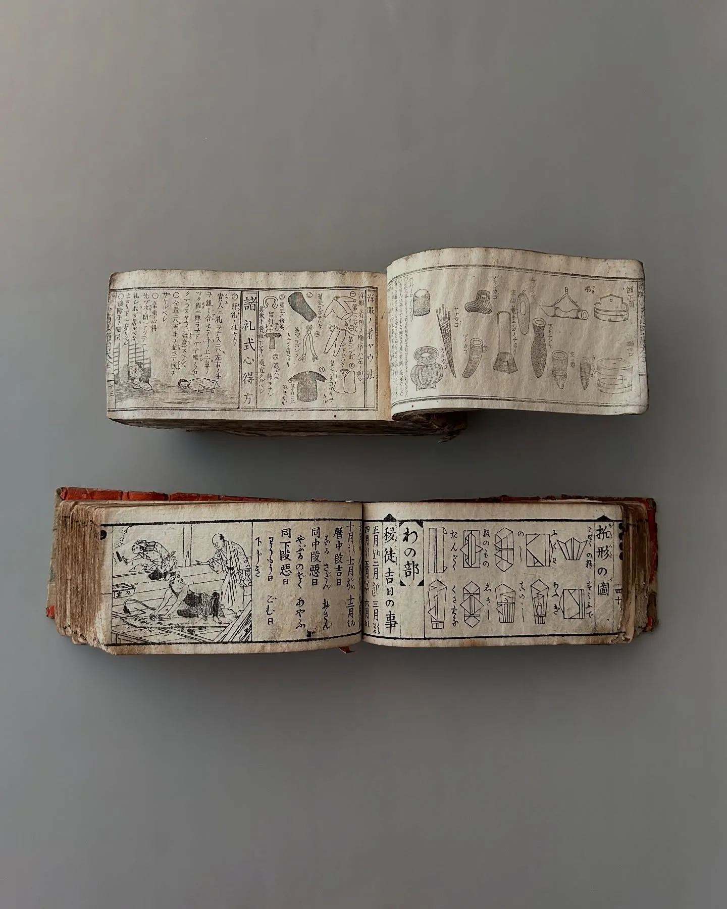 ���ͻ�����޳�����Ž񤬳������Ÿ������Ƥ���䨺���¤λԤι�ơ�����ܥ֡������ͻ�