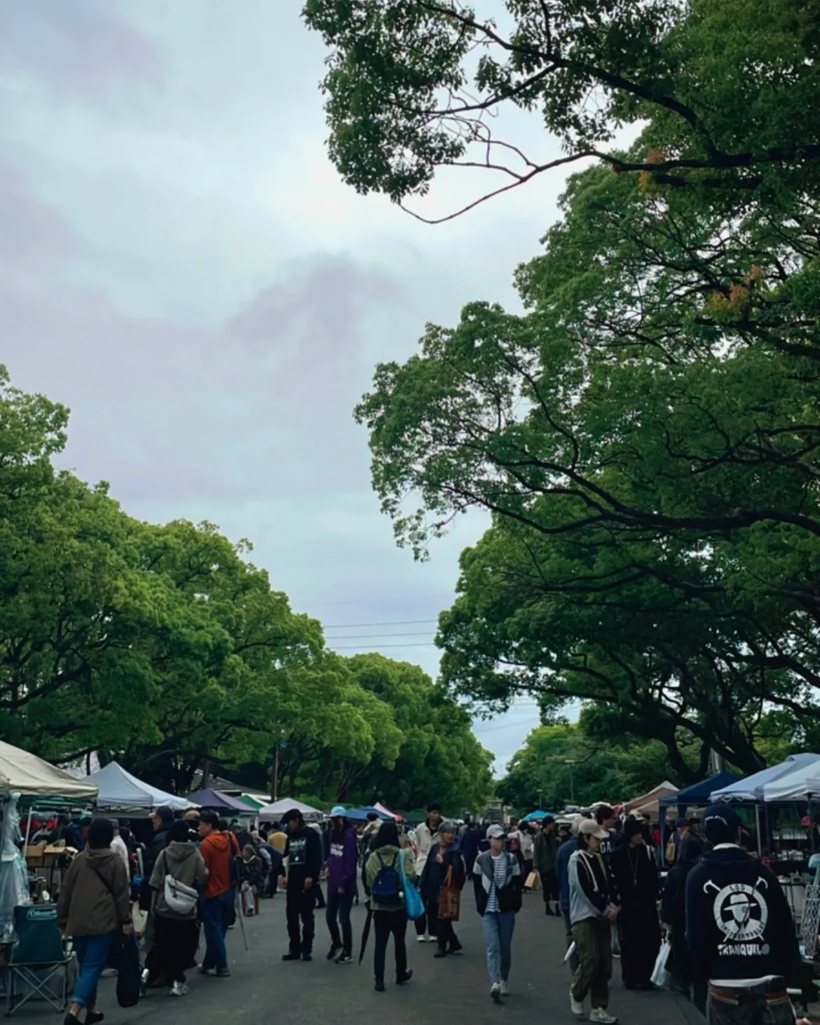 䨺�ܻ�ƻ���礭���ڡ��β��˽�Ź�ƥ�Ȥ��¤ӡ�¿�������Ԥ����臘�����ܺ����ι�ơ�ԡ�䨺���¤λԡפβ������