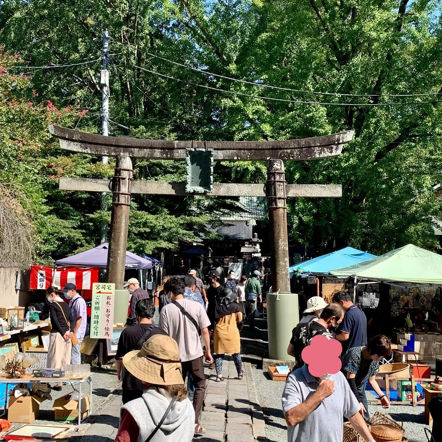 ����ŷ���ܸ�̱���ơ�Ԥ�Ļ�ﲼ�Ǥˤ��臘��ƻ�ȥ���ƥ�����ϪŹ