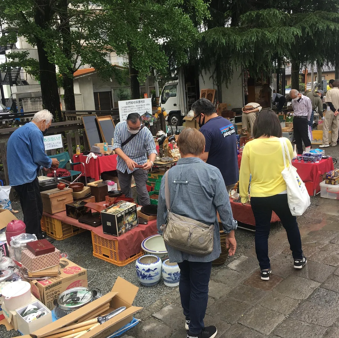 ����ŷ���ܸ�̱���ơ�Ԥ�ϪŹ�Ǹ�ƻ����������ԤΤˤ��襤����