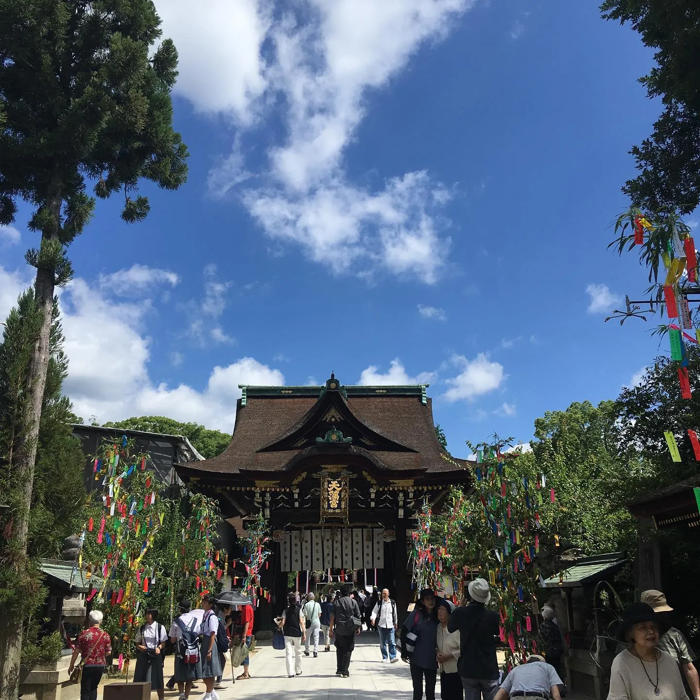 ��ͼ���꤬�ɤ������ŷ���ܤ���������ƻ��ŷ���Ԥ�����¿���λ��ҼԤ����臘��������