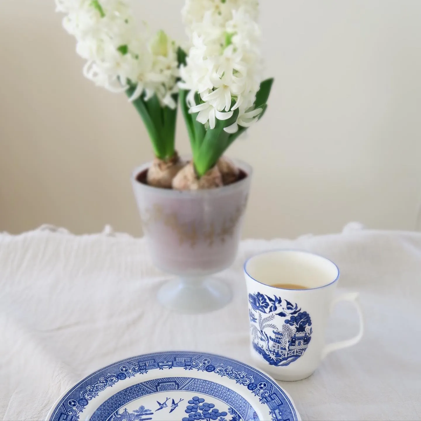 ���͡�����Τߤ䥢��ƥ������ե����Ǹ��Ĥ��������������Υ���ƥ������ޥ��ȥץ졼�ȡ��ҥ䥷�󥹤β֤�ź����ī�Υƥ�������������