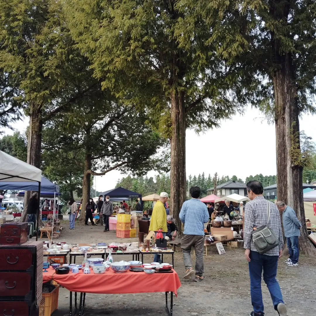 ��롦���βȹ�ơ�Ԥβ����¤�ϪŹ�ȴ���ƻ���į������ԤǤˤ��臘��������ƥ������ޡ����å�