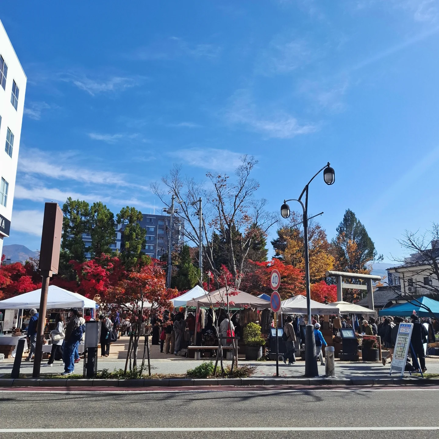 Ĺ����ܻԤΤޤĤ�ȸŻԤǿ��Ť������ڤ˰Ϥޤ줿����˥ƥ�Ȥ�Ω���¤ӡ�����ƥ�����������õ�����Ԥ����臘�����ޡ����åȤ�����