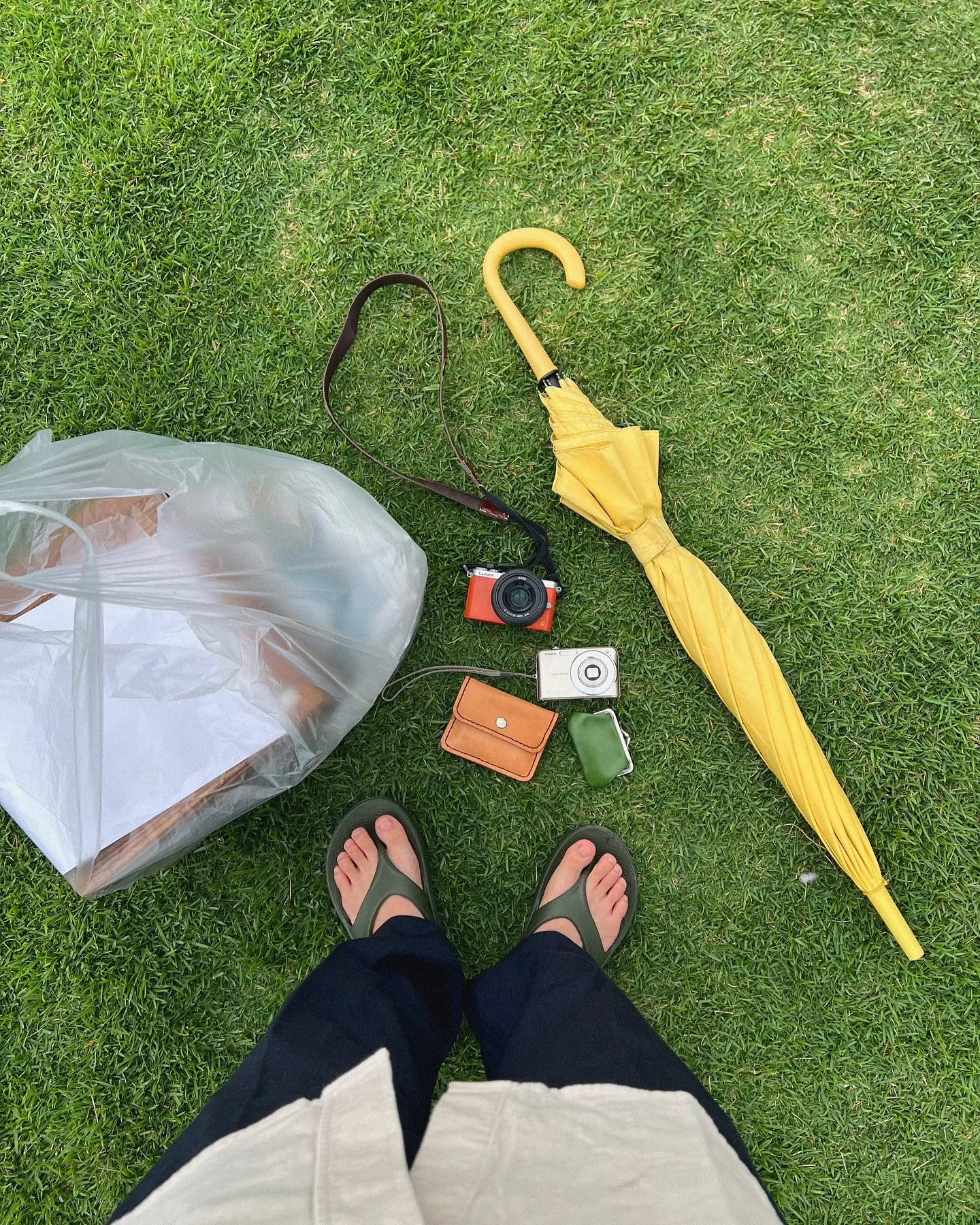 �����ξ���¤٤��ե꡼�ޡ����åȤ������ʤȻ���ʪ����������������ѥ��ȥ���顢�����ʺ��ۤ䥱�������㤤ʪ�ޤ�­�����鸫������������