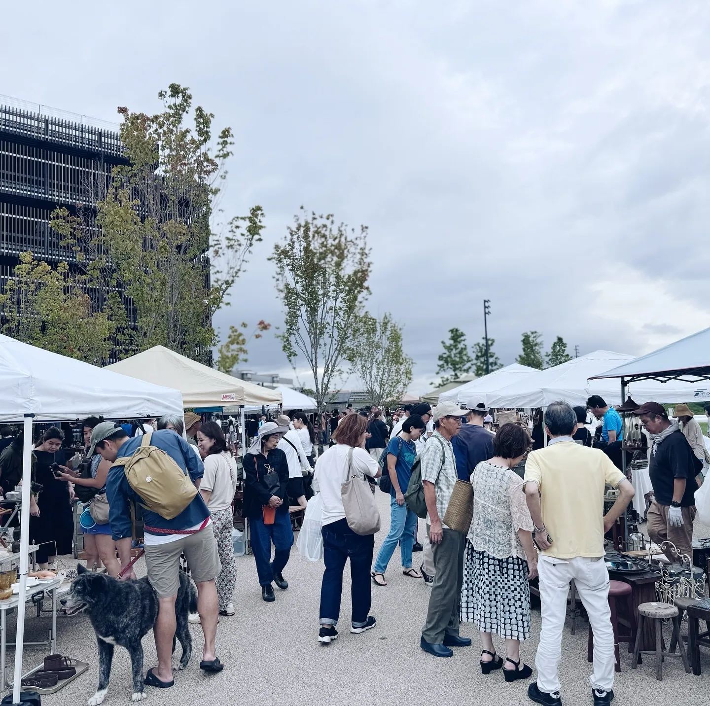 ������ǳ��Ť�����������ע��ī䧤ǡ��򤤥ƥ�Ȥθ�ƻ��仨�ߤν�Ź��¿�������Ԥ�����㤤ʪ��ڤ����¤λԤ��ͻ�