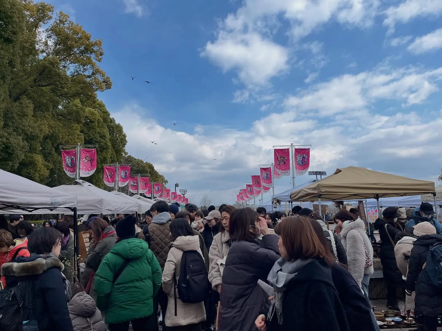 Ĺ����ࡦ��������ǳ��Ť����Ĺ���¤λԤβ����¤ֽ�Ź�ƥ�Ȥ�¿�������Ԥ����臘�ޡ����åȤ�����