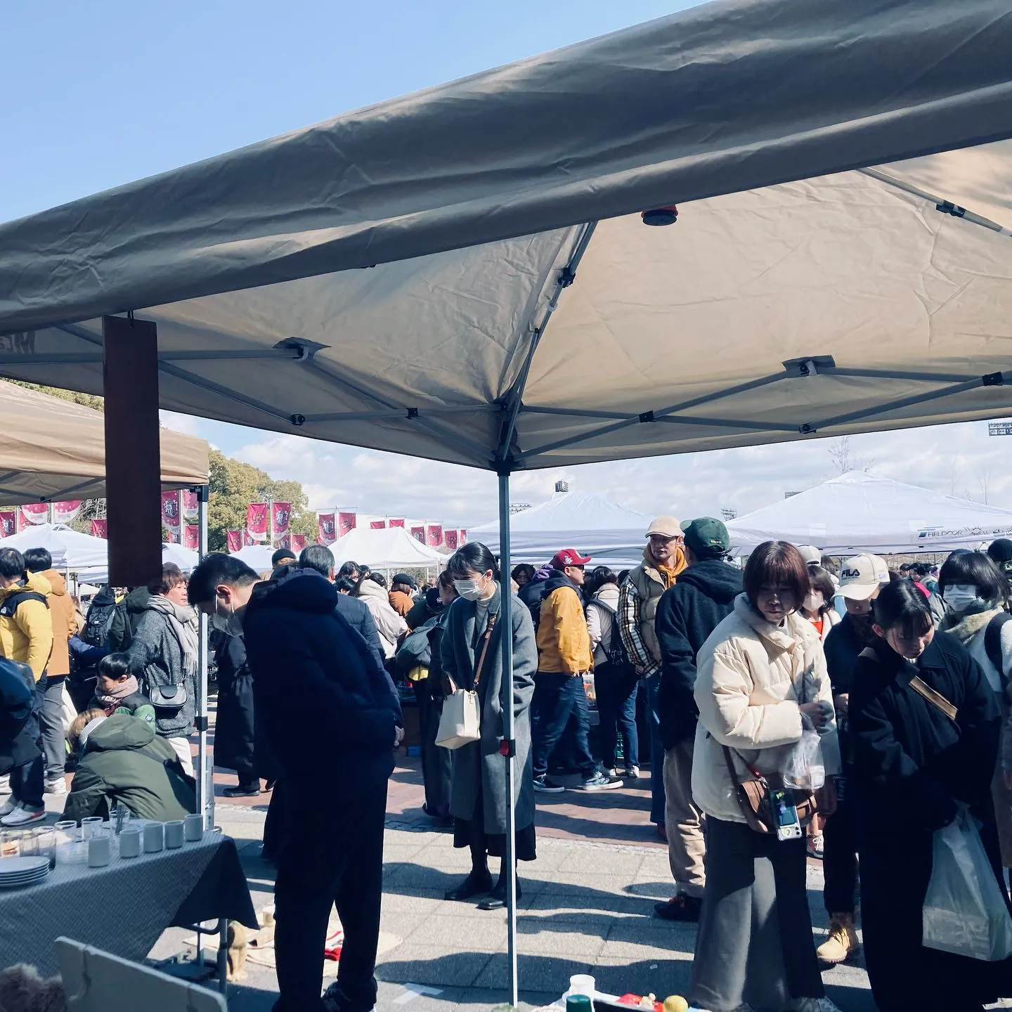 Ĺ����ࡦ��������ǳ��Ť����Ĺ���¤λԤβ��ǽ�Ź�ƥ�Ȥδ֤��⤭�ʤ����㤤ʪ��ڤ���¿�������Ԥ��ͻ�