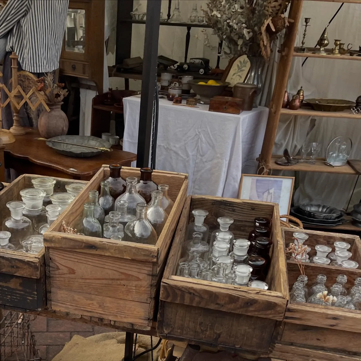 Ĺ����ࡦĹ���¤λԤν�Ź�֡������¤֥��饹�Ӥ䥢��ƥ������ܥȥ롢��ƻ��ʤɥ�����ơ������ߤΥǥ����ץ쥤����