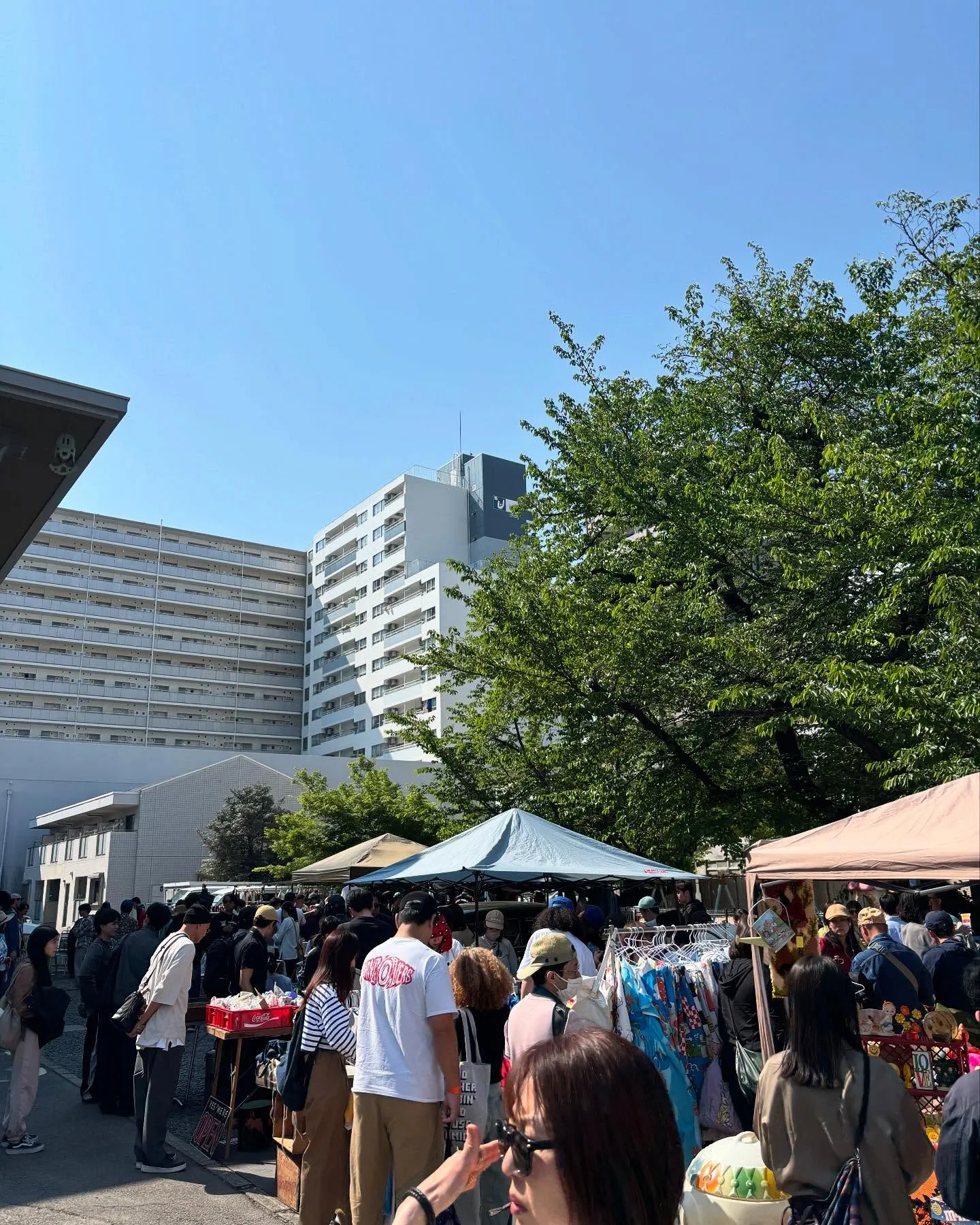 ̾�Ų�����ƥ������ޡ����åȤβ��ǥƥ�ȥ֡�������塦����ƥ���������åפ���ʤ����㤤ʪ��ڤ������Ԥ����臘�ޡ����åȤ��ͻ�