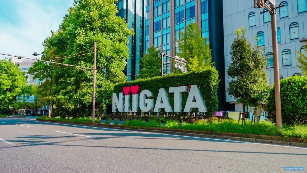������濴�� I LOVE NIIGATA��˥���Ȥγ��¤�����