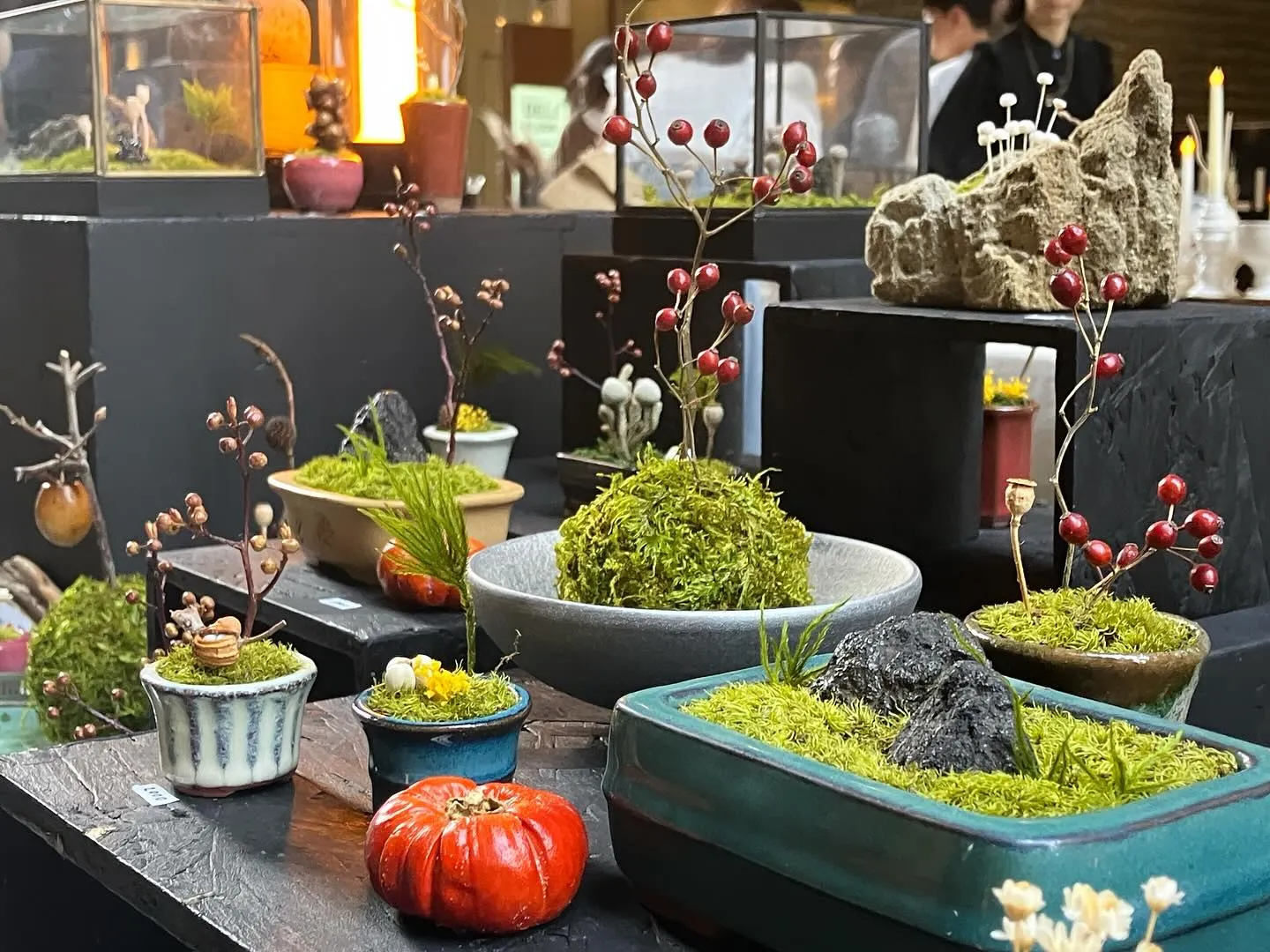 ���ܶ�OLD NEW MARKET�β������ߺϤ侮���ʿ�ʪ���ʤ��¤ӡ�����μ¤�ƫ��δ�ȤȤ��Ÿ�����줿����եȥ֡��������٤�����