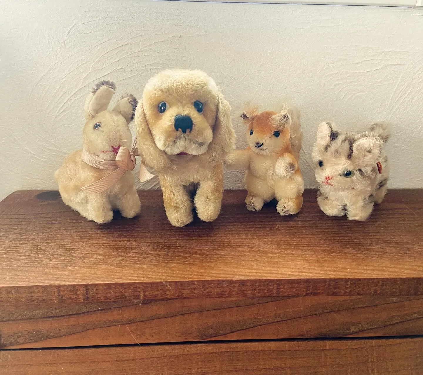 �����¤λԤǸ��Ĥ������奿���դΥ�����ơ������Τ̤�����ߤ��濴�ˡ���������Ҹ��Υ���ƥ������̤�����ߤ��¤ֵ�ǰ�̿��Τ褦�ʥǥ����ץ쥤����