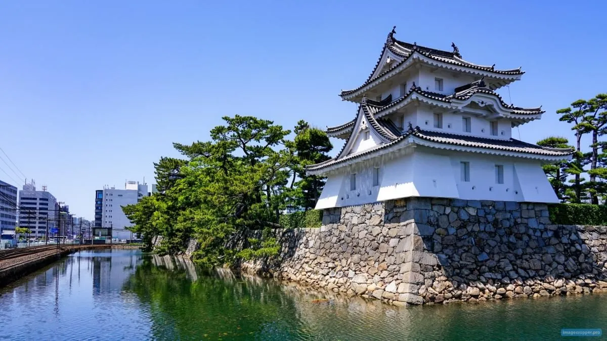 �⾾�������κ�Ϧ�Ȥ����Ȥ�䤰��ȿ��٤ηʴ� ����⾾��