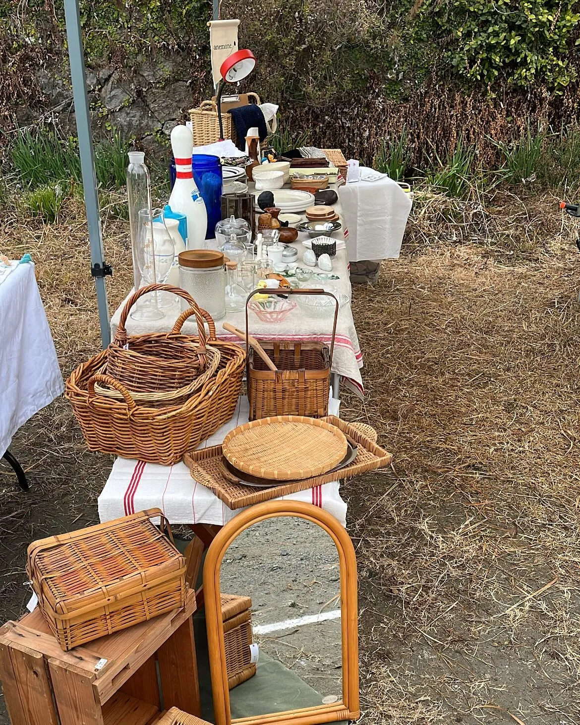 ���츩����ԡ��������¤λԤ��¤֥��饹�Ӥ��ۤ�������ƻ��ʤɤΥ���ƥ��������ߤ�ϪŹ