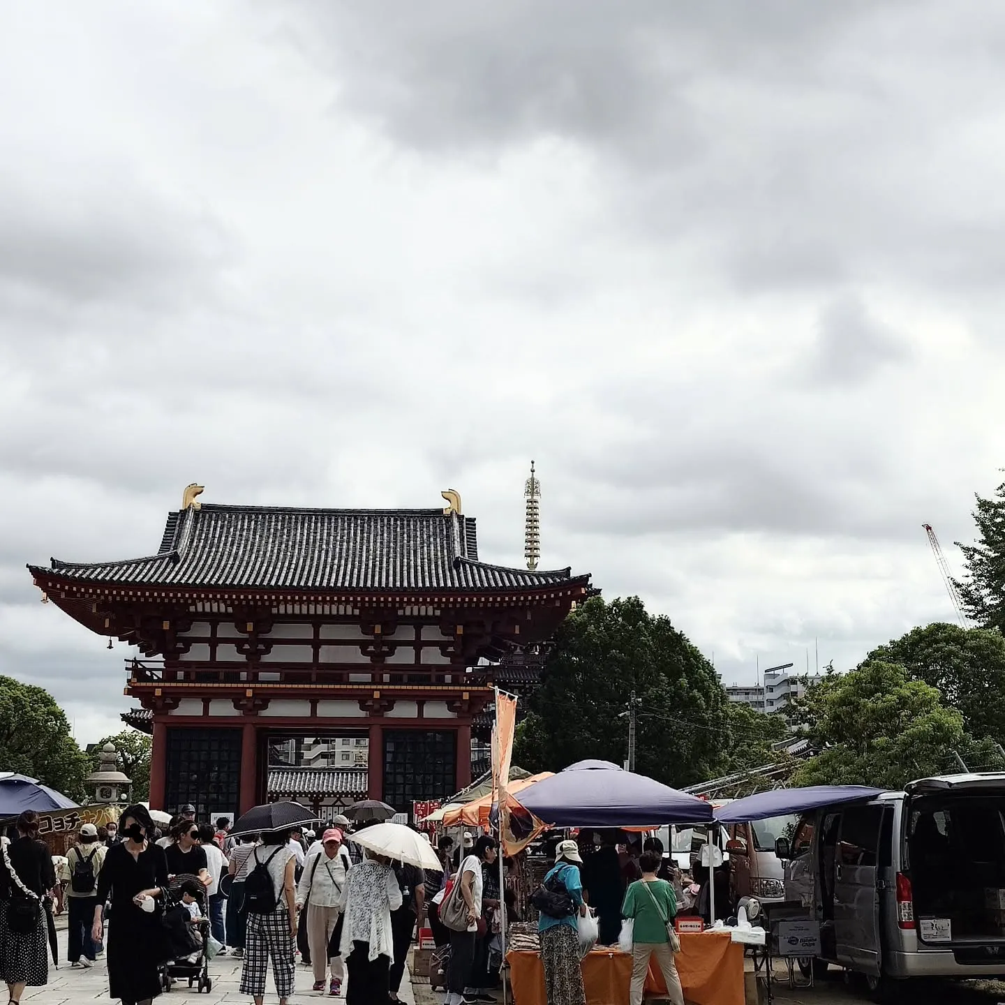 ��� ��ŷ������ơ�Ԥ����臘����ȥ���ƥ��������������