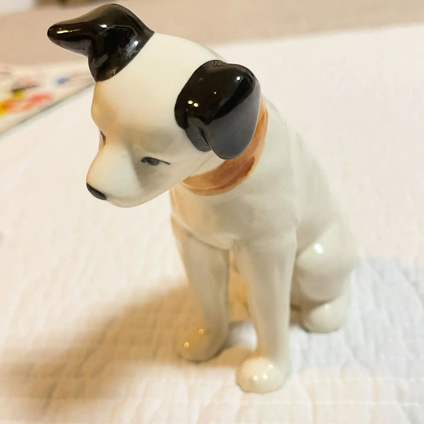 ���¥�ȥ��ԤǸ��Ĥ��뾼�»���θ�������դ�ƫ��ե����奢����ȥ����ߤ��ƻ���¤��¤λԥ����ƥ�ΰ���