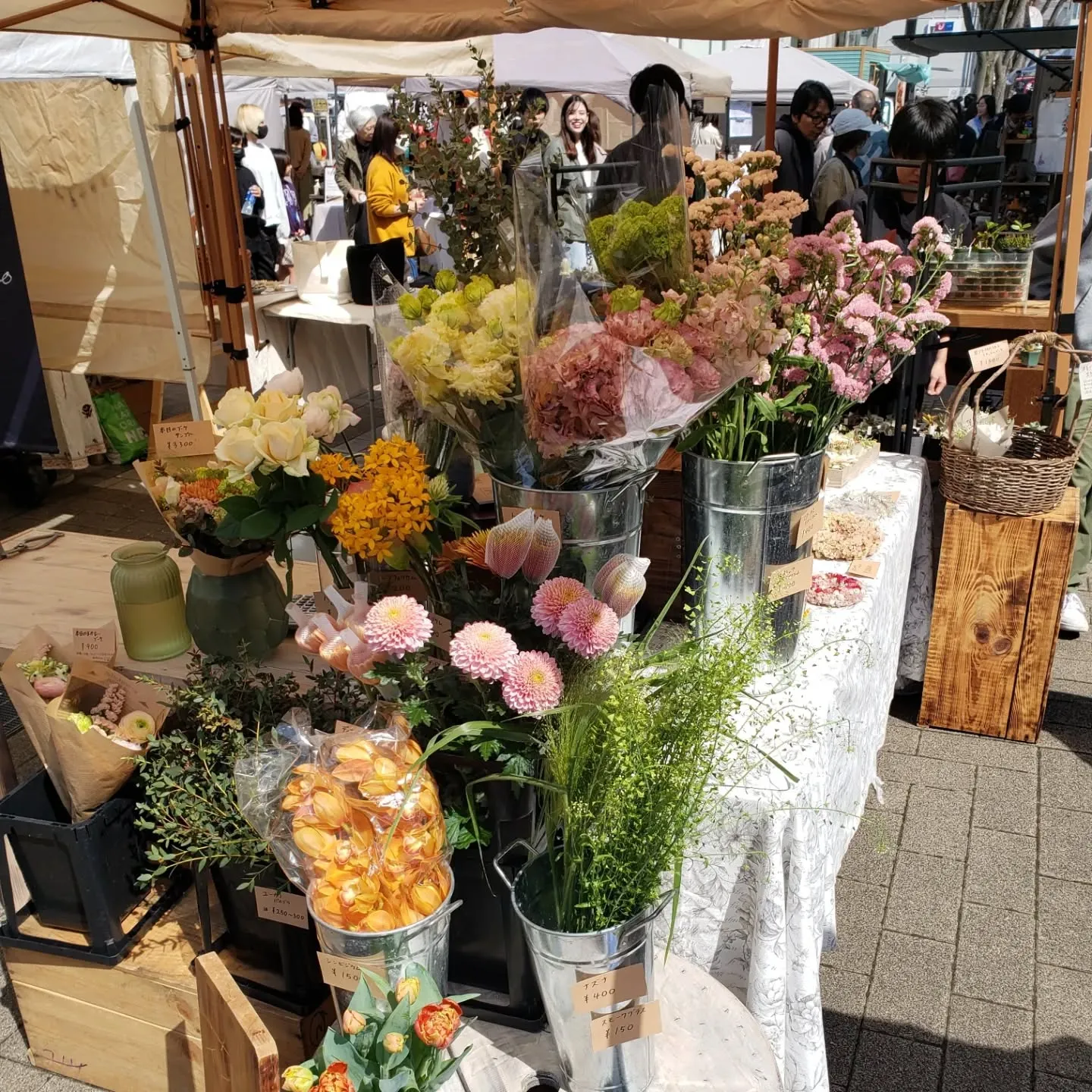 ��븩�Ĥ��лԥȥʥꥨ�Ĥ��Х��������ΤĤ����¤λԤ��¤ֵ���β֥֡��������Ȥ�ɤ���ڤ�֤ȿ�ʪ���������Ԥ����臘�����ޡ����å�����