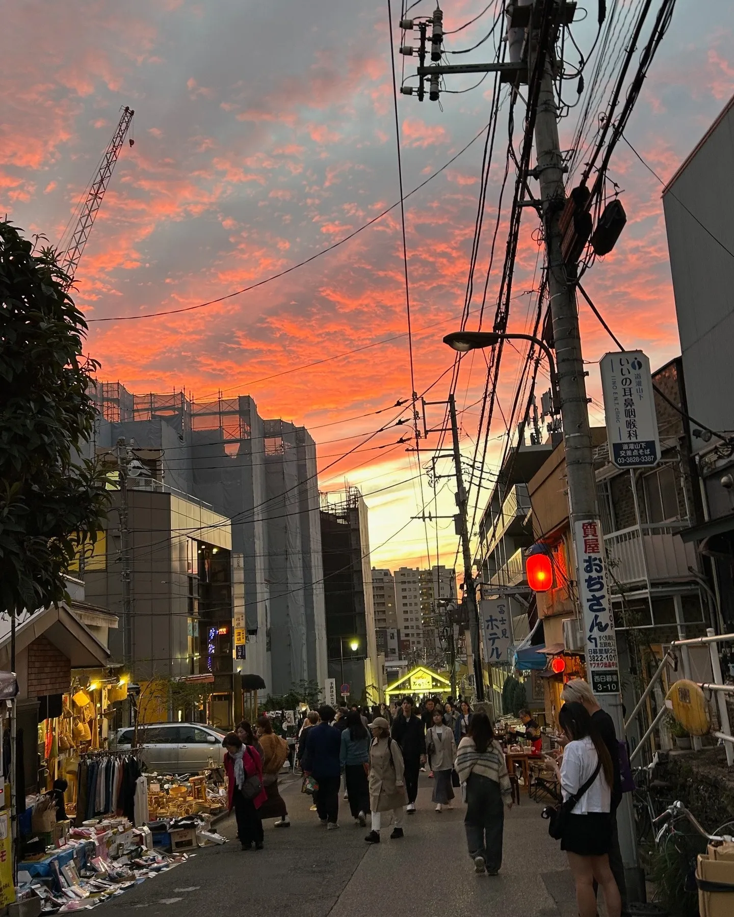 ͼ�Ƥ������ޤ�ë��γ��¤ߤ��⤯���Ԥ�ϩ�Ϥ��¤ֹ�ơϪŹ��ë���ơ�Ԥ����襤��������ͼ���β������