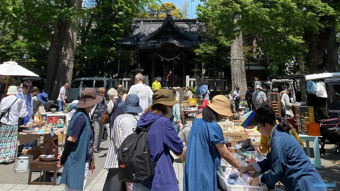 神奈川】逗子骨董市｜2026年2月28日｜7:30-14:30