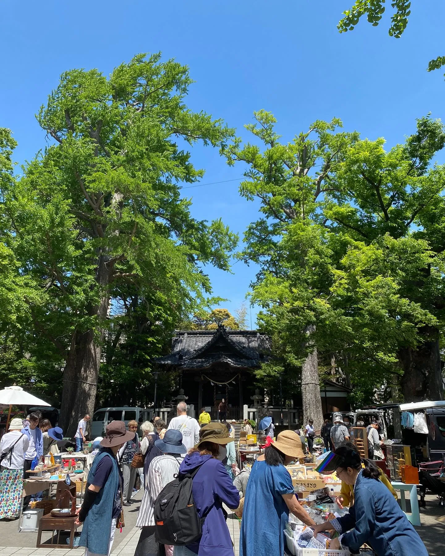 �������ҹ�ơ�Ԥ����臘������� ����ƥ������ȸ�ƻ���¤ֿ��Ҷ���