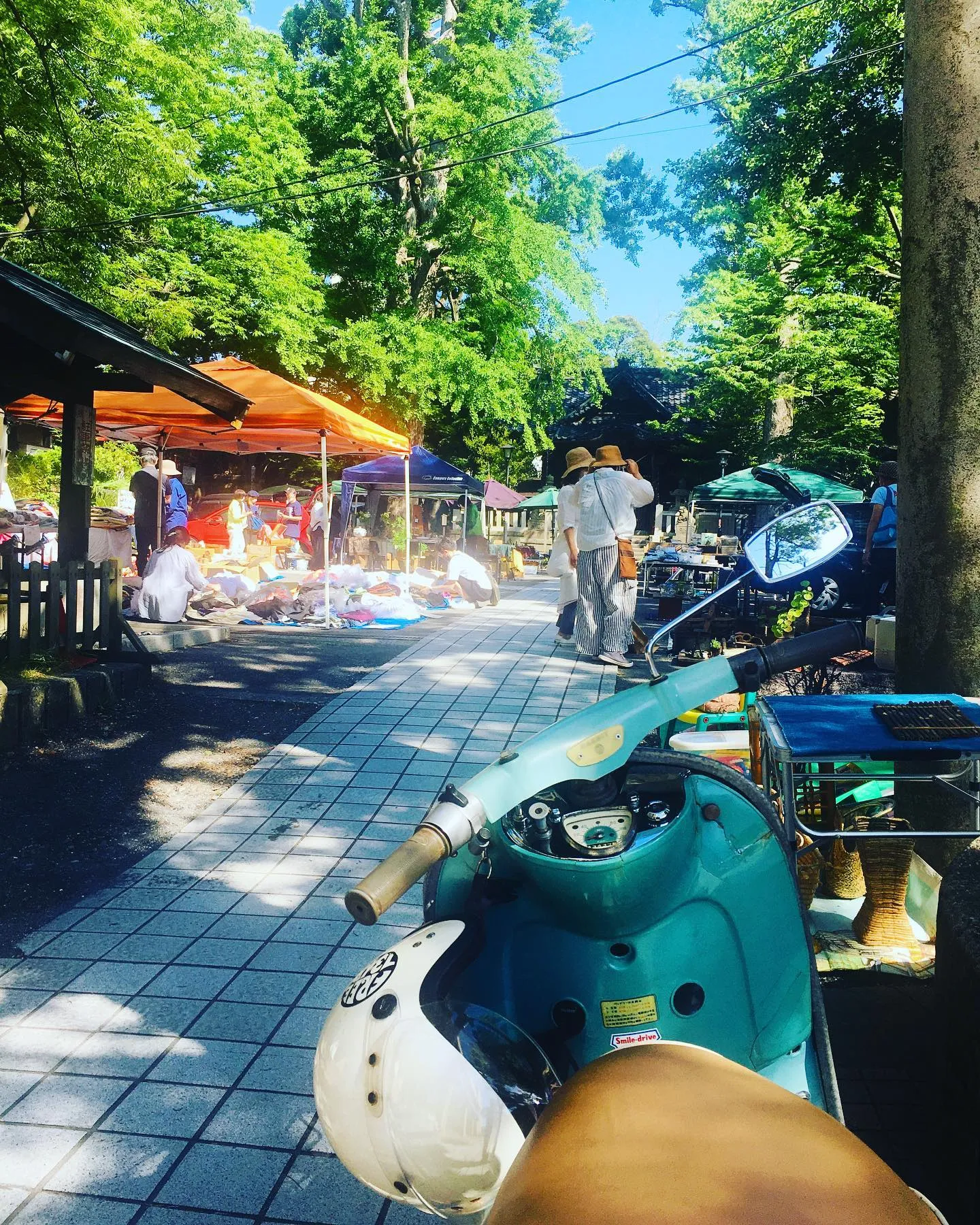 �������ҹ�ơ�Ԥζ�����¤֥���ƥ������ԤȲƤ��Ķ������Ԥ����臘�������