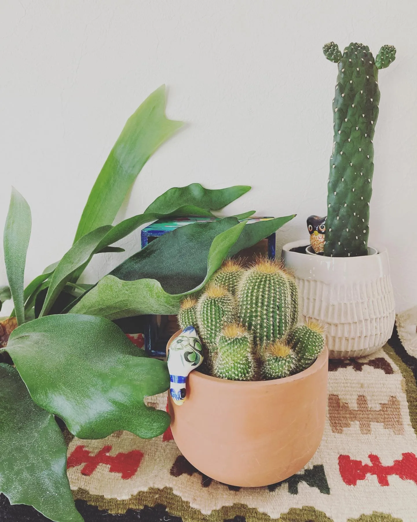 ��ҹ�ơ�ԤǸ��Ĥ��������ơ���ȭ�ȥ��ܥƥ�Υ���ƥꥢ����