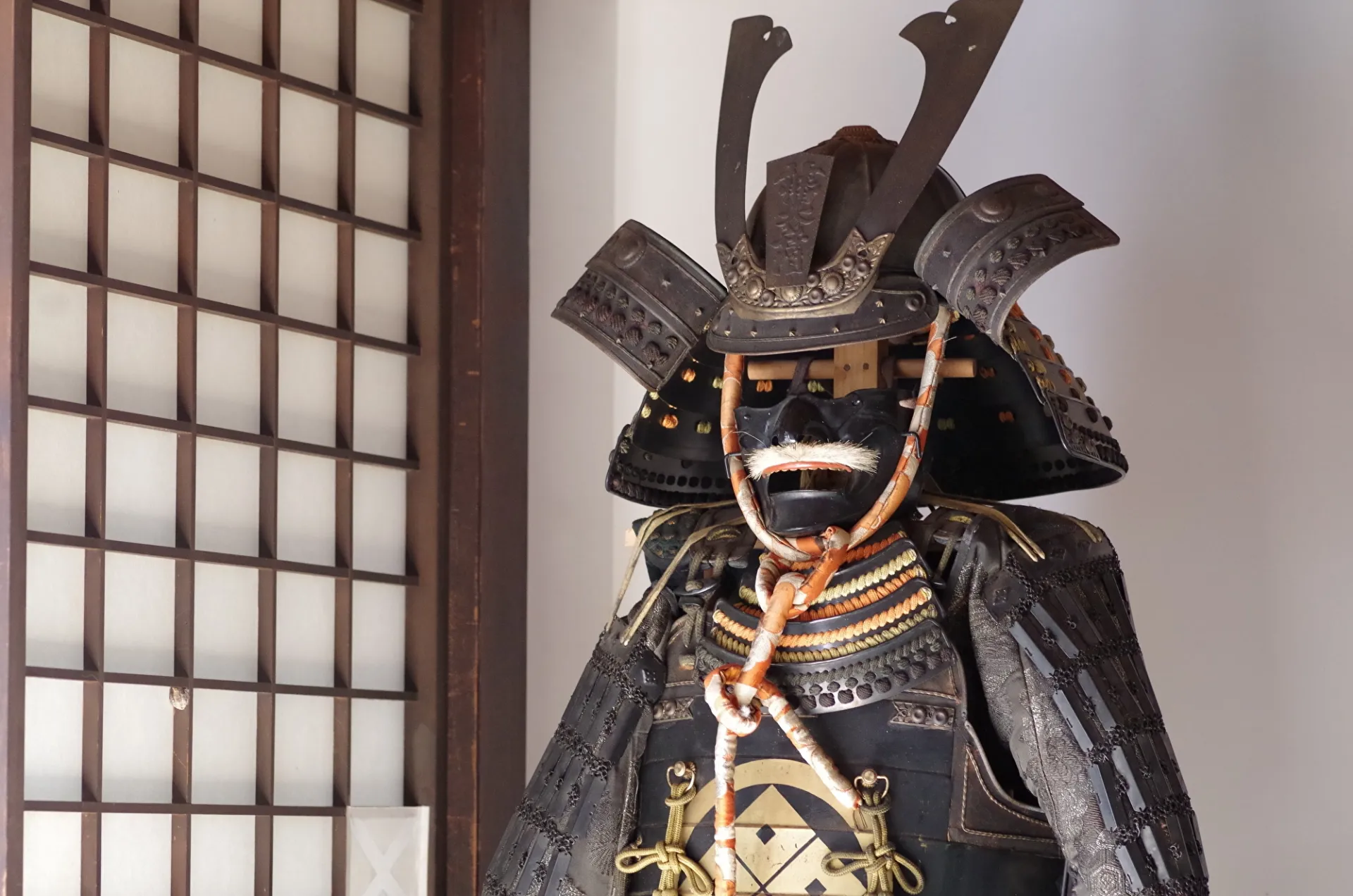 ��ҤΤ��Ф˾���줿�����ɤ�ι���