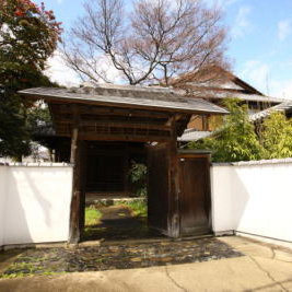 Blue Parrot gallery image 1