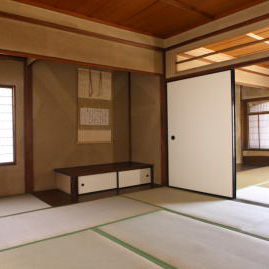 Blue Parrot gallery image 3