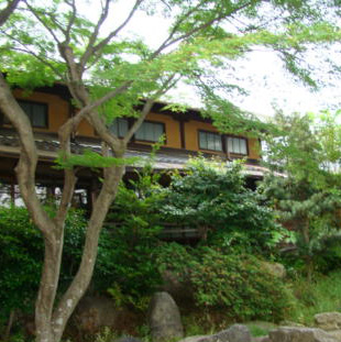 Blue Parrot gallery image 6