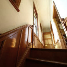 Blue Parrot gallery image 7