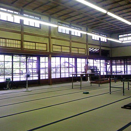 Blue Parrot gallery image 8