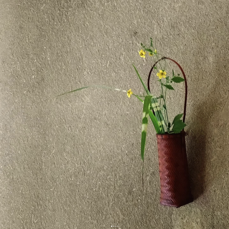 Ļ�葉���꡼����1