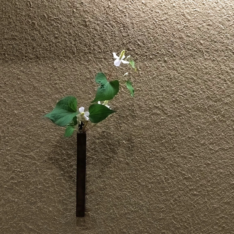 Ļ�葉���꡼����3