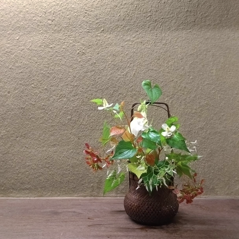 Ļ�葉���꡼����5